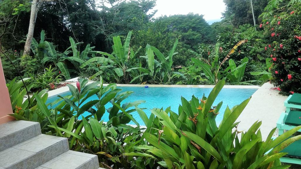 Poolside Suite - Tobago Hibiscus Villas